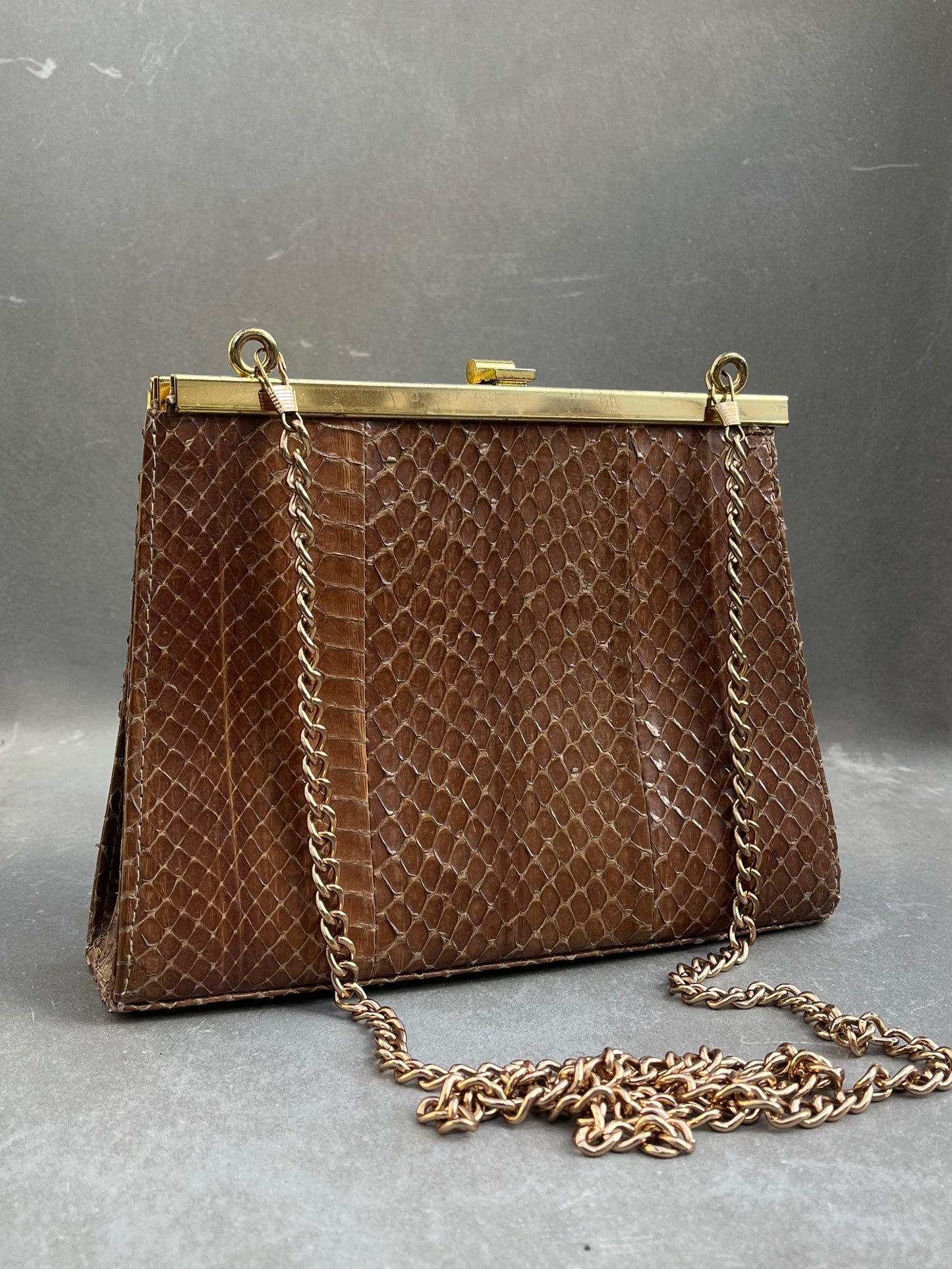 Snake Leather Bag